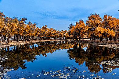 《女神异闻录3：Reload》PS4与PS5版下载容量曝光